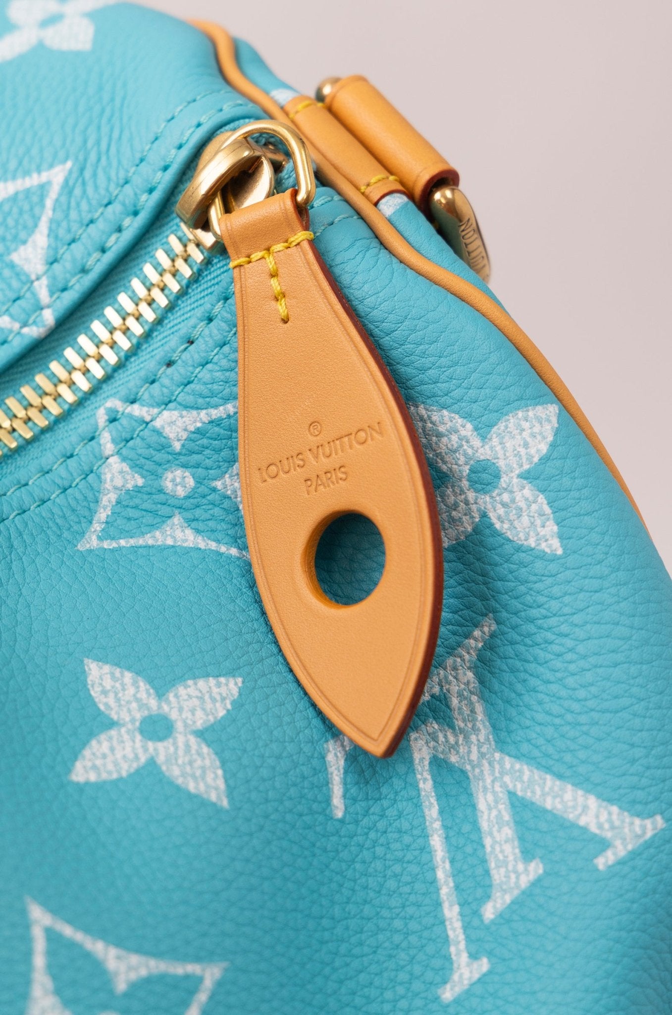 Louis Vuitton Speedy 50 Cyan - supergl0rious