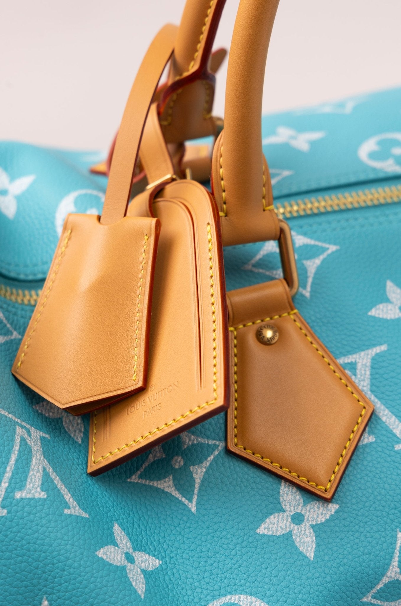 Louis Vuitton Speedy 50 Cyan - supergl0rious