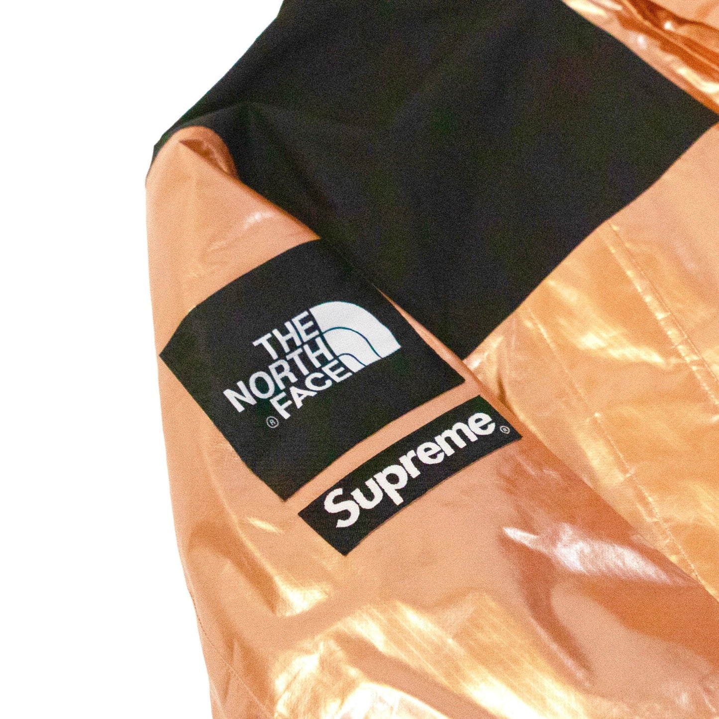 Supreme The North Face Metallic Mountain Parka - supergl0rious